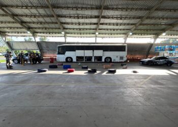 3º Torneio de Cães de Polícia reuniu dezenas de competidores no Parque do Imigrante, em Sapiranga