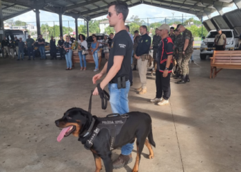 Sapiranga sedia 3º Torneio de Cães de Polícia neste final de semana