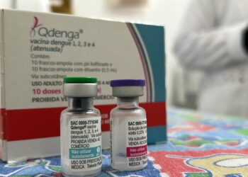 Rio Grande do Sul tem 163 mil casos de dengue e 253 mortes pela doença