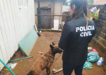 Polícia Civil e Guarda Municipal de Campo Bom prendem homem em flagrante por tráfico de drogas