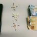 Preso por tráfico de drogas reage contra Guarda Municipal de Campo Bom