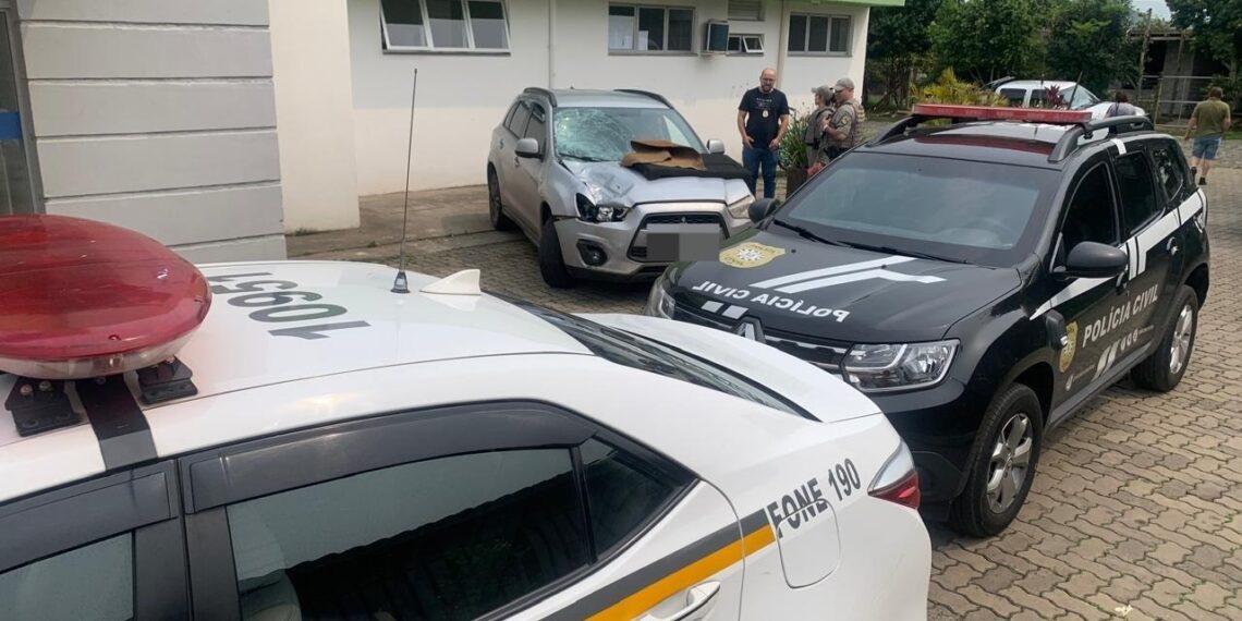 Médico preso por atropelar e matar idosa na RS-239 é solto