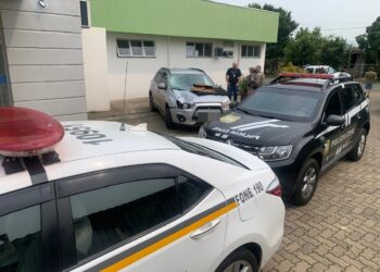 Motorista que atropelou e matou idosa na RS-239 é preso; ele é médico em Parobé