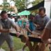 7ª edição da Dezemberfest se aproxima com diversas atrações em Nova Hartz