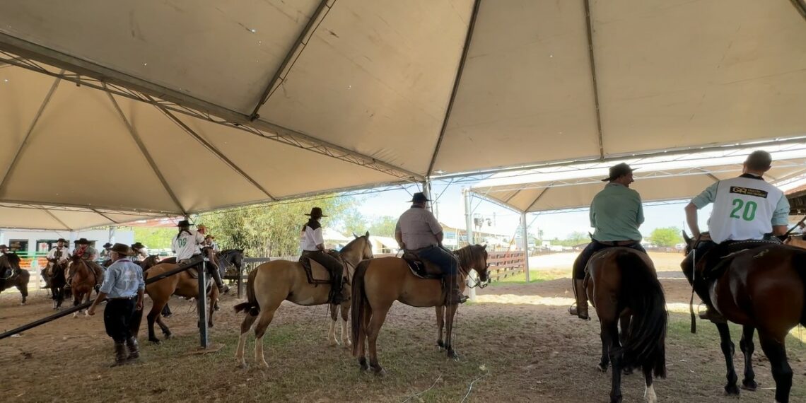 Rodeio de Campo Bom 2026 projeta recorde  de público, grandes prêmios e entrada gratuita