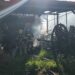 Incêndio em área externa do CTG Guapos do Itapuí mobiliza bombeiros em Campo Bom