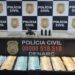 Homem é preso por posse de arma de fogo durante ação da Polícia Civil em Sapiranga