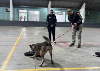Polícia Civil apresenta trabalho de cães policiais em escola de Araricá