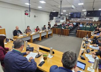 Câmara de Sapiranga aprova quatro projetos durante sessão ordinária